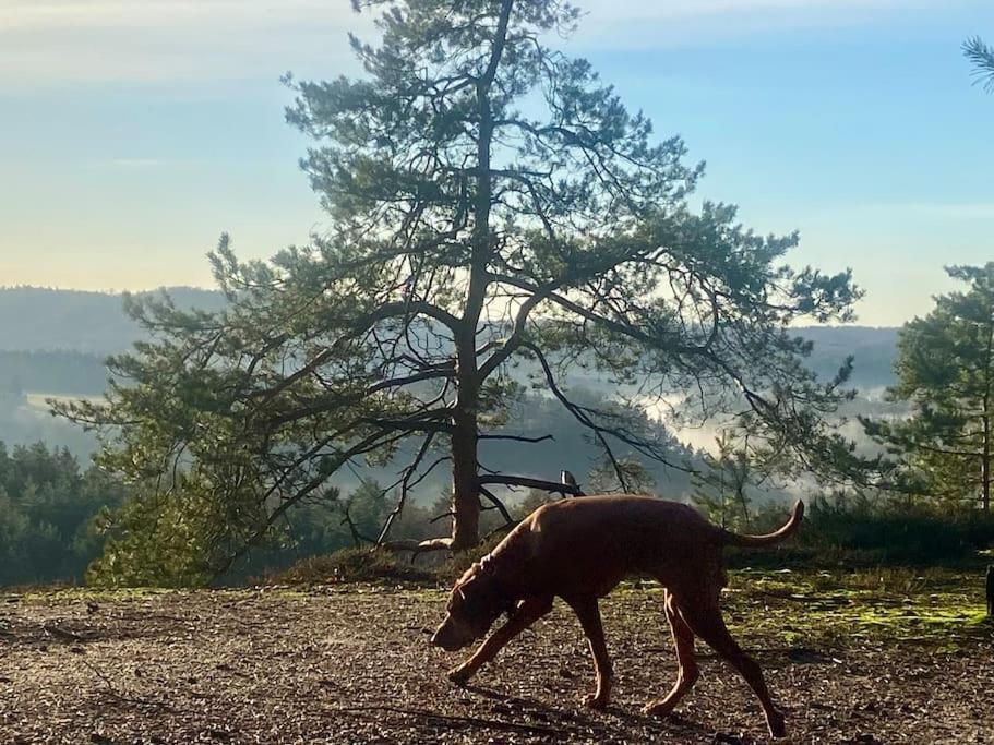 Chalupa Kokorinsko Mseno Exteriör bild
